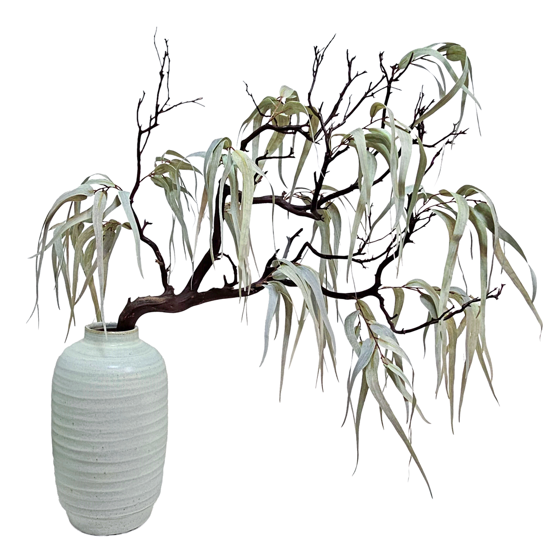 Sculptural Manzanita Branch with Eucalyptus Leaves in Ceramic 46"H