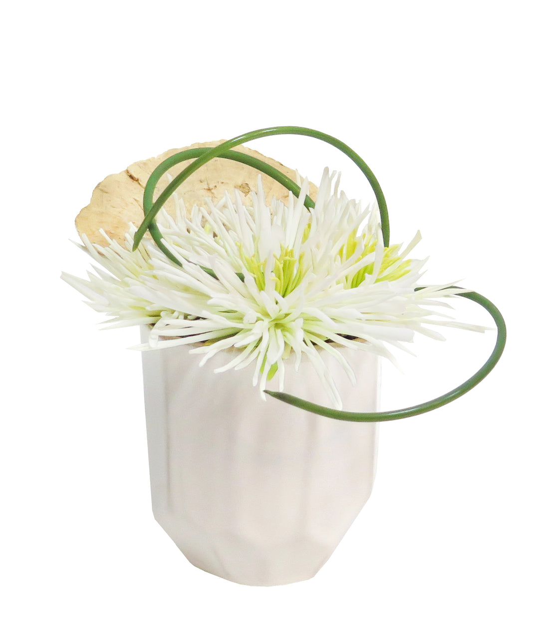 Spider Mums with Looped Chive and Sponge Mushroom in Ceramic
