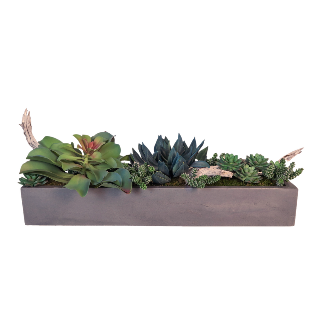 Mixed Succulents with Driftwood in Planter FH: 12.5"
