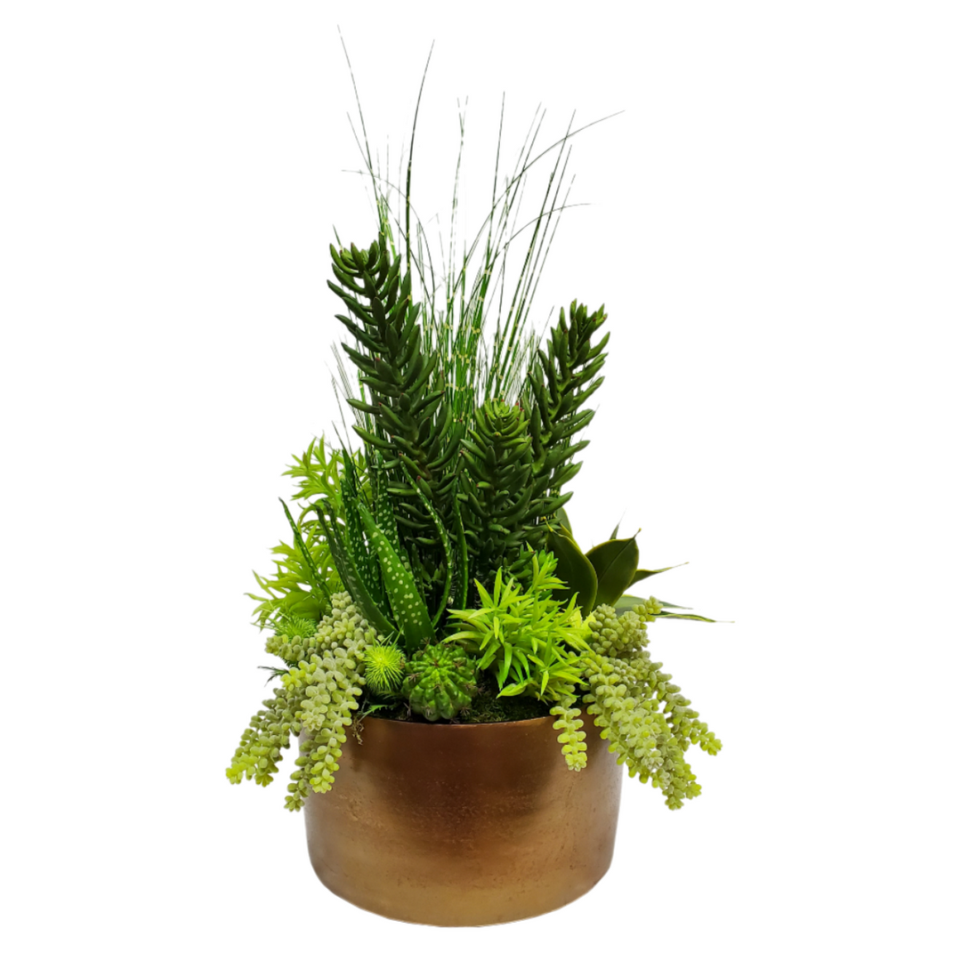 Senecio, Stripe Grass, Succulents and Thistle in Bowl FH: 33"