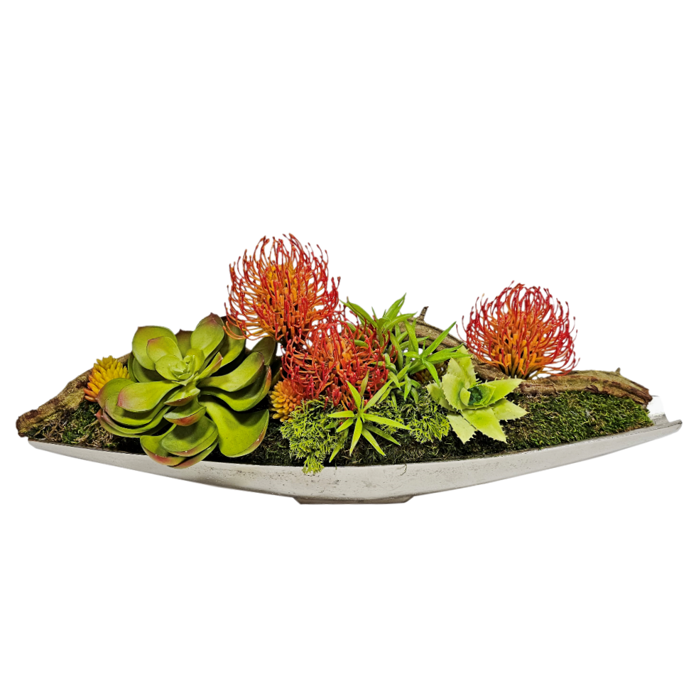 Protea, Succulents, Vines and Moss in Boat FH: 7"H