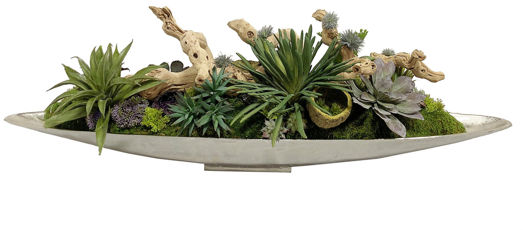 Succulents, Grapewood Branch, and Wooden Cups in Tray FH: 13"