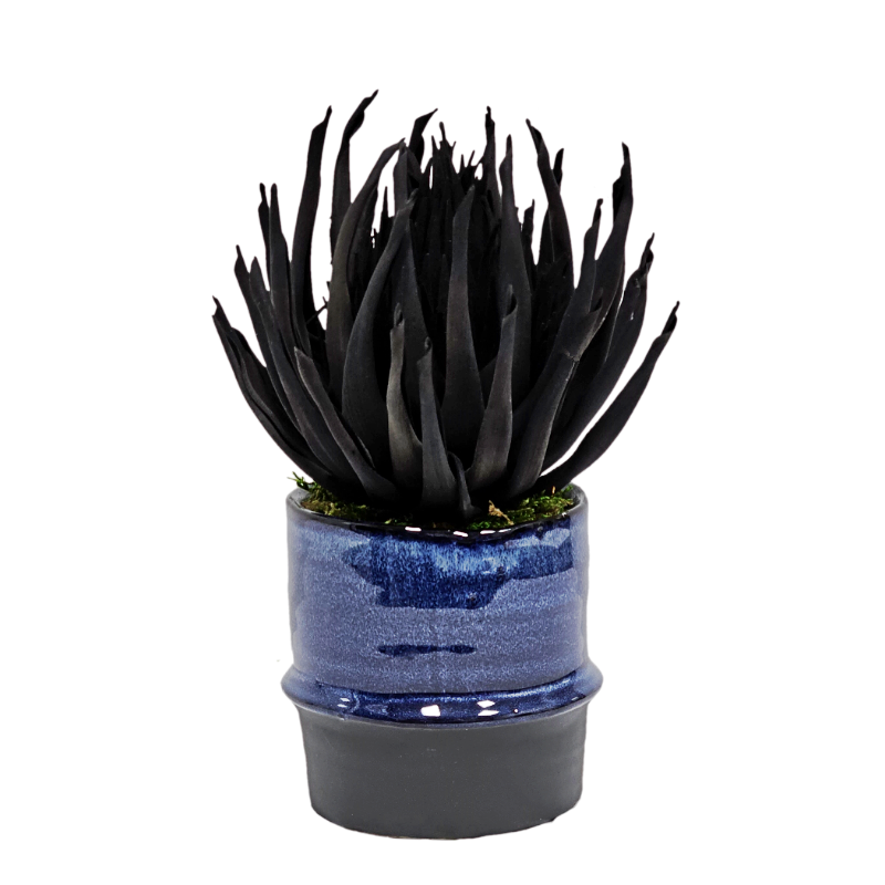 Spiky Stem in Ceramic Container. FH:9"