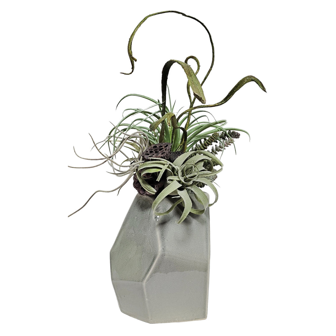 Tillandsia, Burro's Tail, Dried Lotus Pods and Staghorn Fern in Glazed Geometric Ceramic 24"H