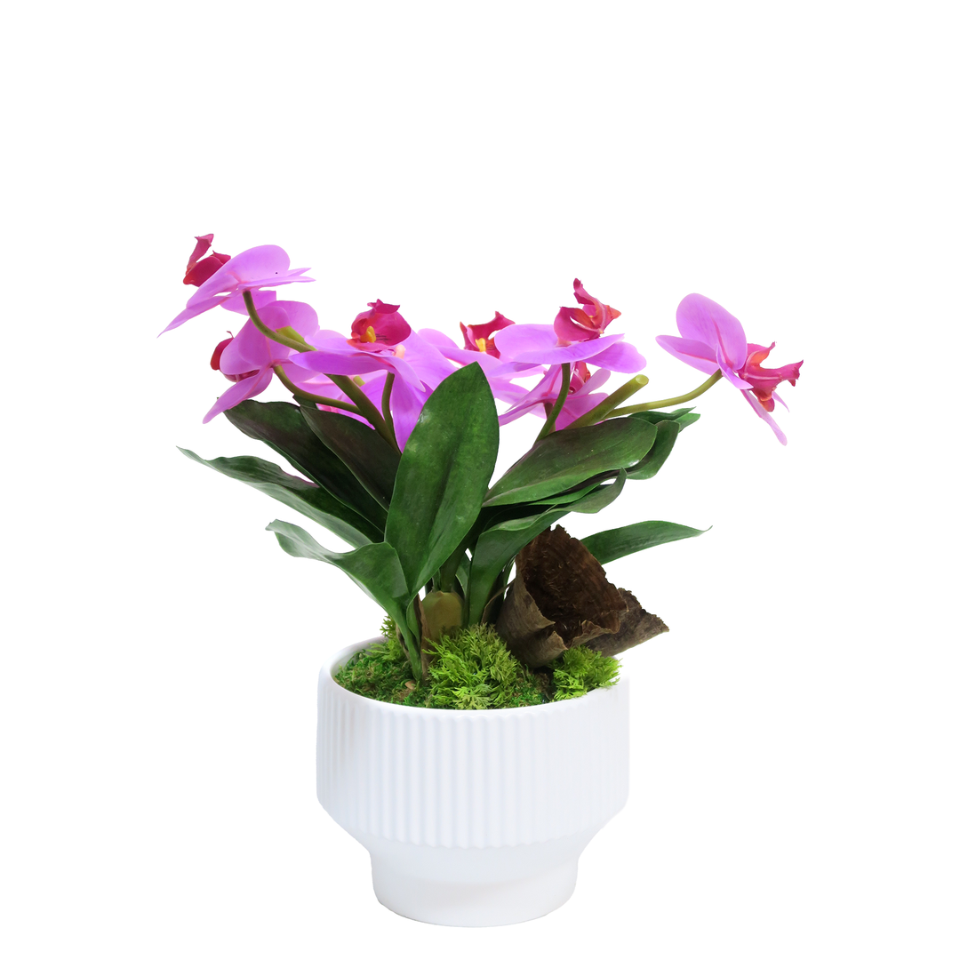 Orchids, Orchid Leaves, and Calice in Ceramic 15"H