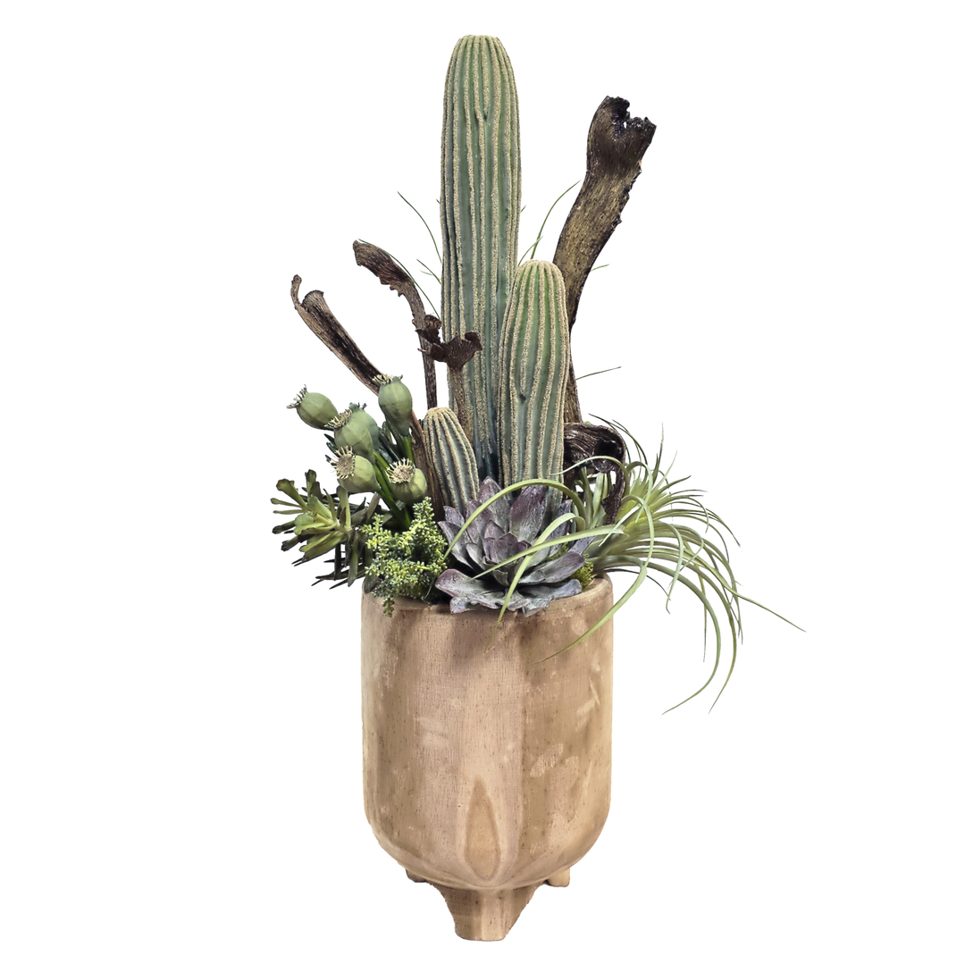 Cactus, Succulents, Willow in Wood Container 33"H