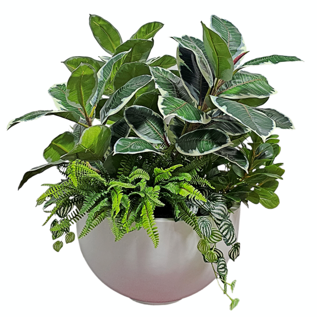 Rubber Plant and Ferns in Planter FH: 40"h