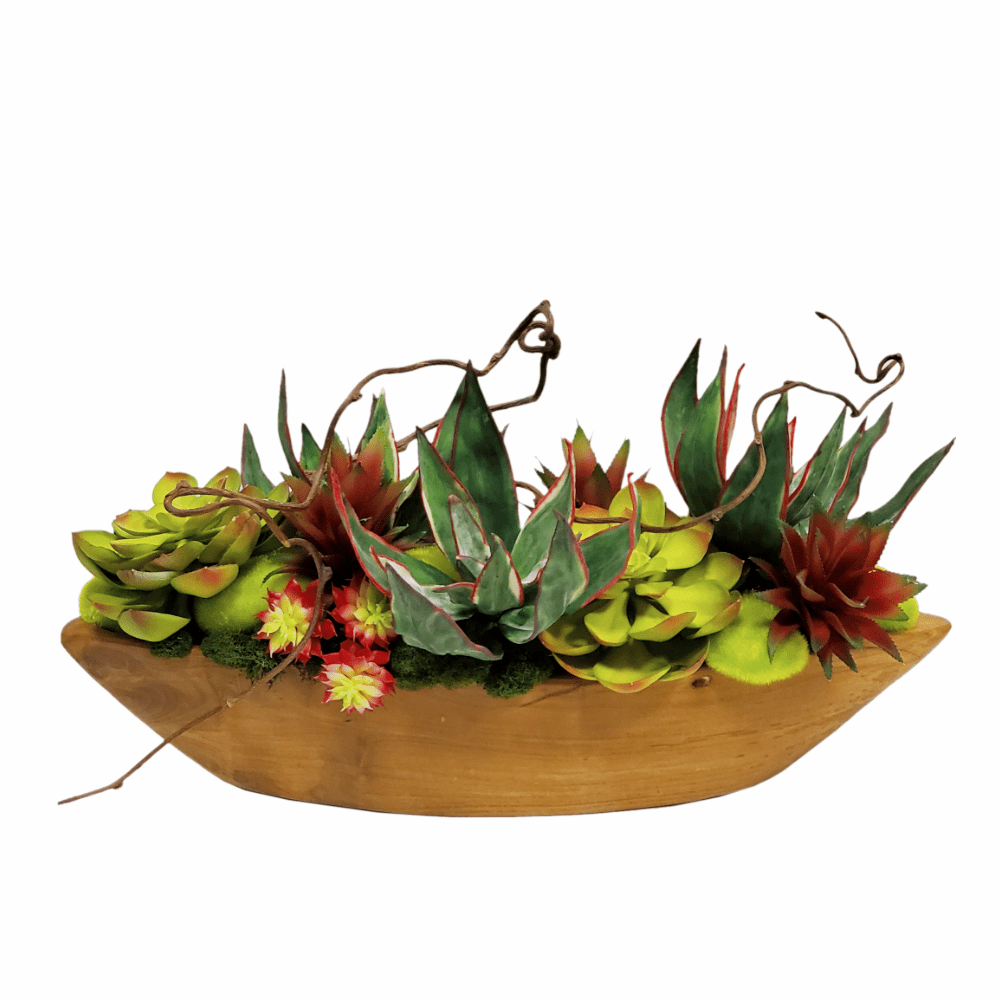 chartreuse succulents Agave and Succulents with Moss Rocks in Boat FD: 11"H