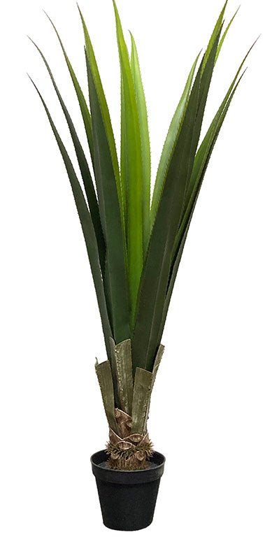 Agave Bush in Black Growers Pot. FH:43" - LDF Silk