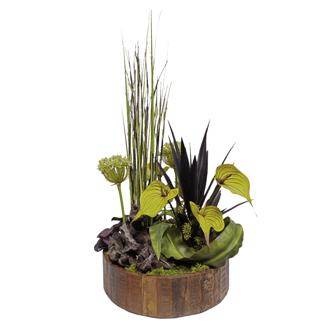 Aloe, Allium, Bamboo Grass, Leaves, and Wood in Bowl FH: 40" - LDF Silk