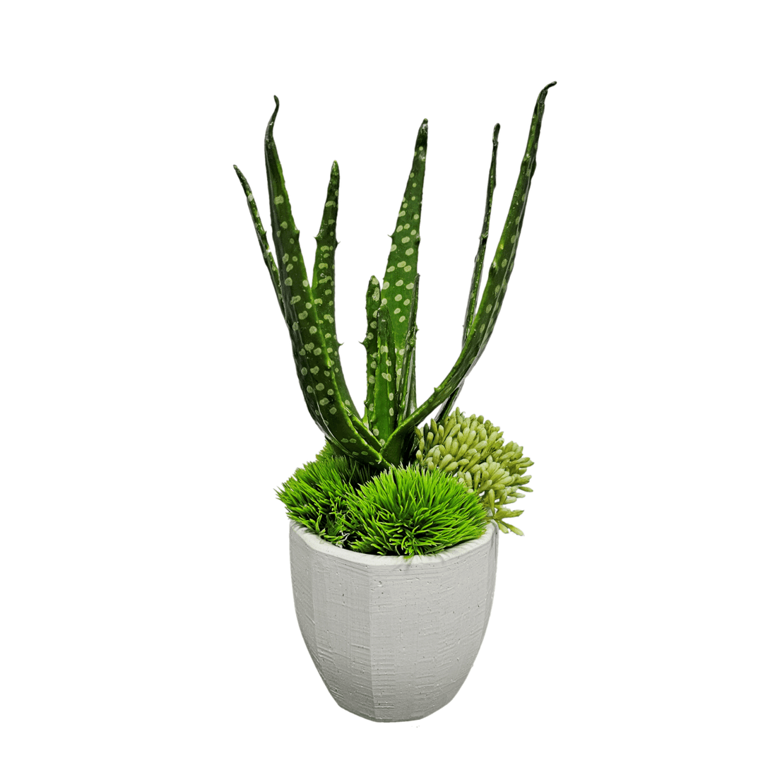 Aloe with Seed and Moss in Ceramic FH: 11" - LDF Silk