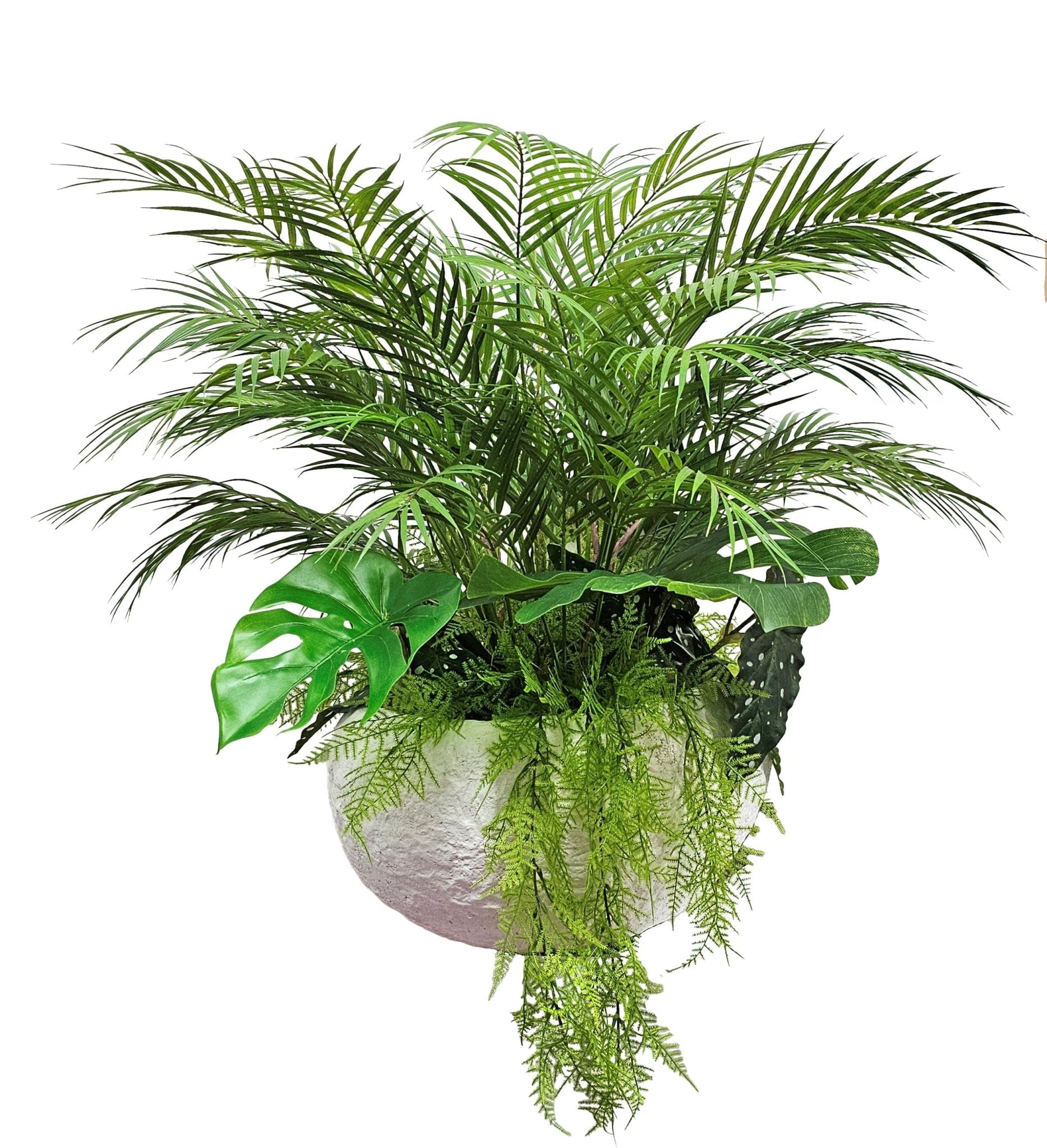 areca palm and monstera Areca Palm with Begonia and Monstera Leaves, and Fern in Round "Rock" Planter. FH: 33"H