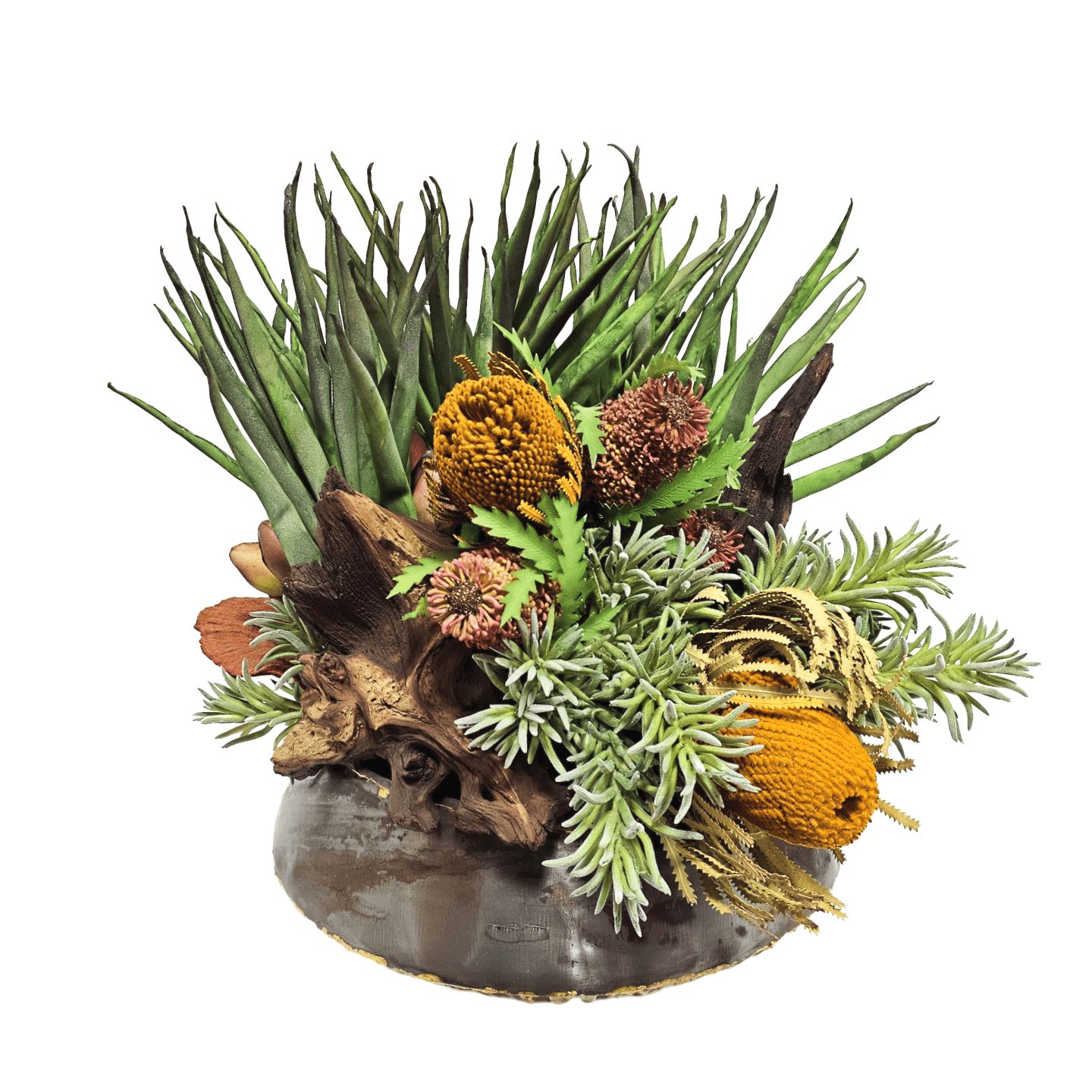 metal succulents Banksia, Spikey Succulents, and Wood Fragments in Metal Bowl. FH: 20
