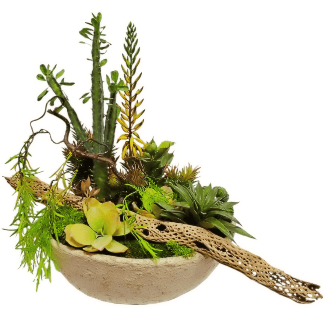Cactus with Succulents and Colla Wood in Bowl FH: 28" - LDF Silk