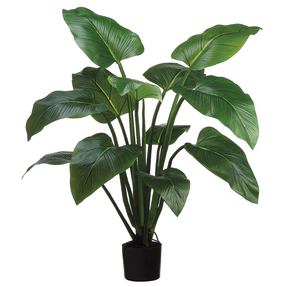 Curcuma Plant in Grow Pot 48"H - LDF Silkplants