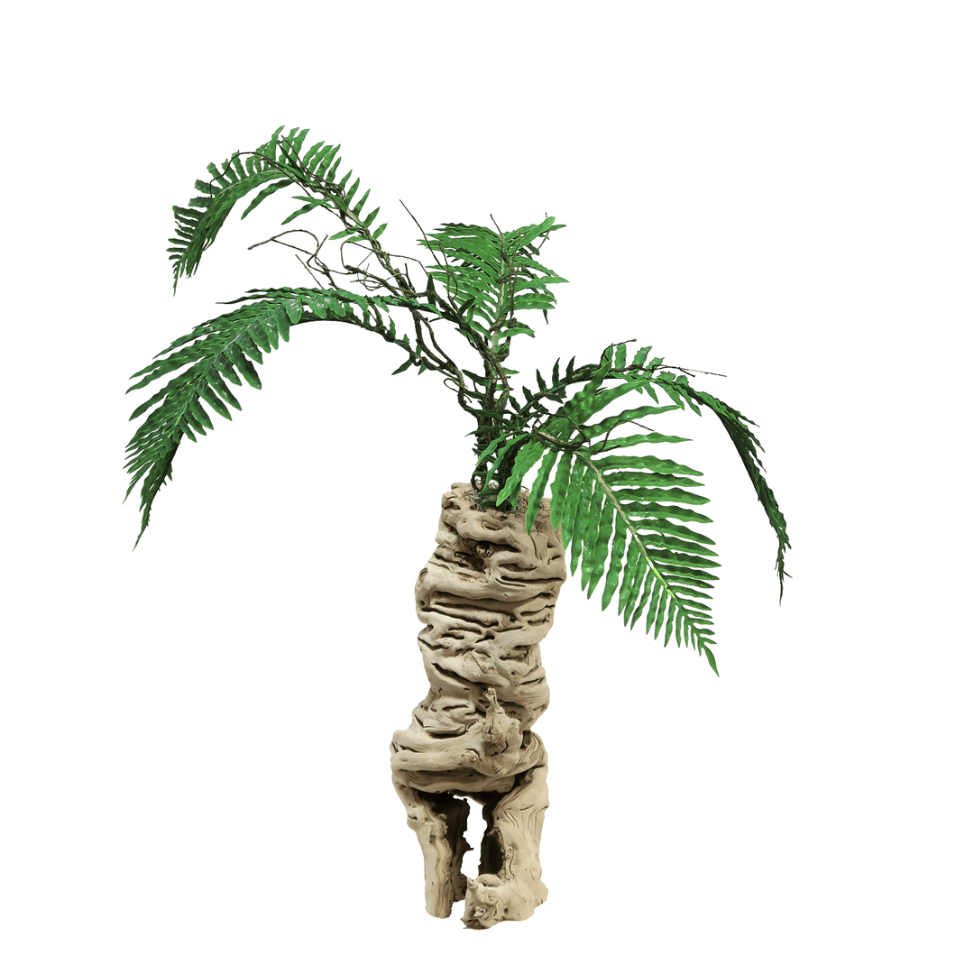 Cycas Palm in Grapewood Vase 32"H - LDF Silk
