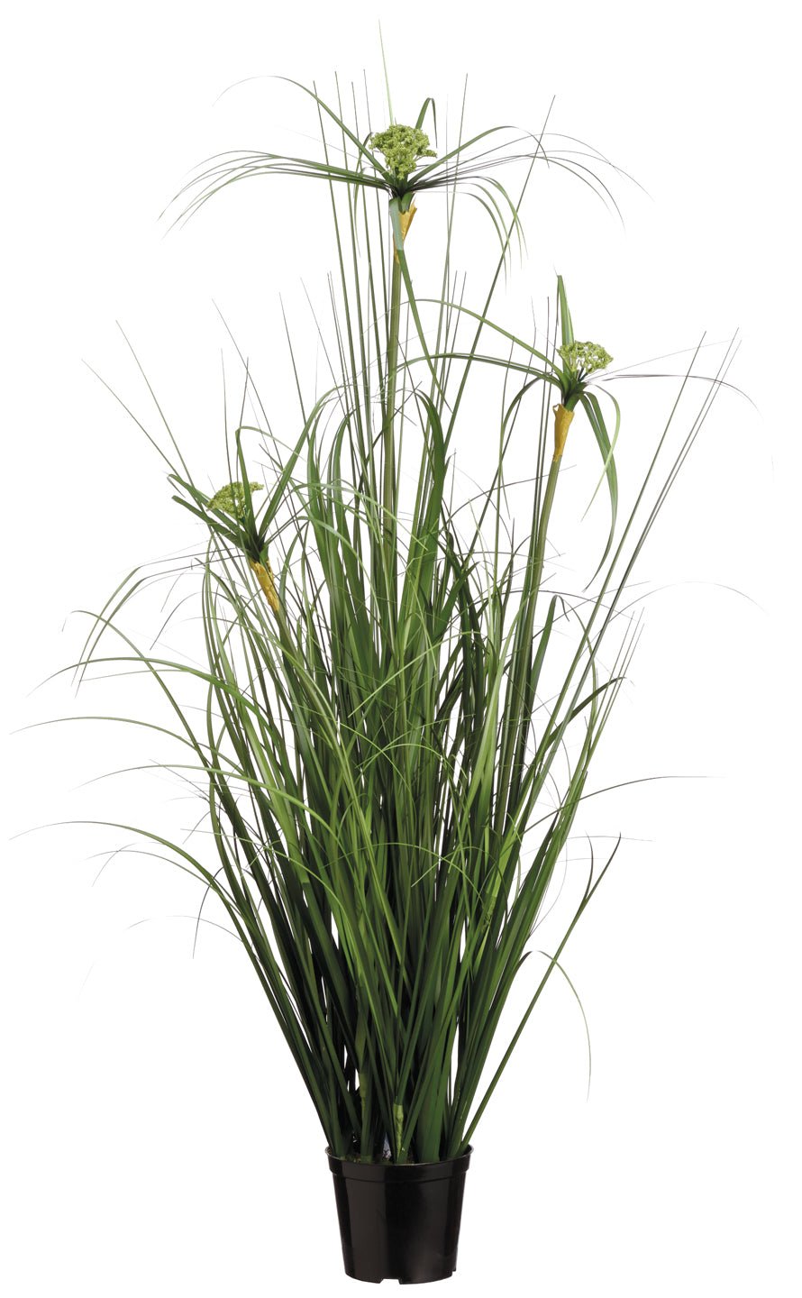 Cypress Grass Bush in Grow Pot 40"H - LDF Silk