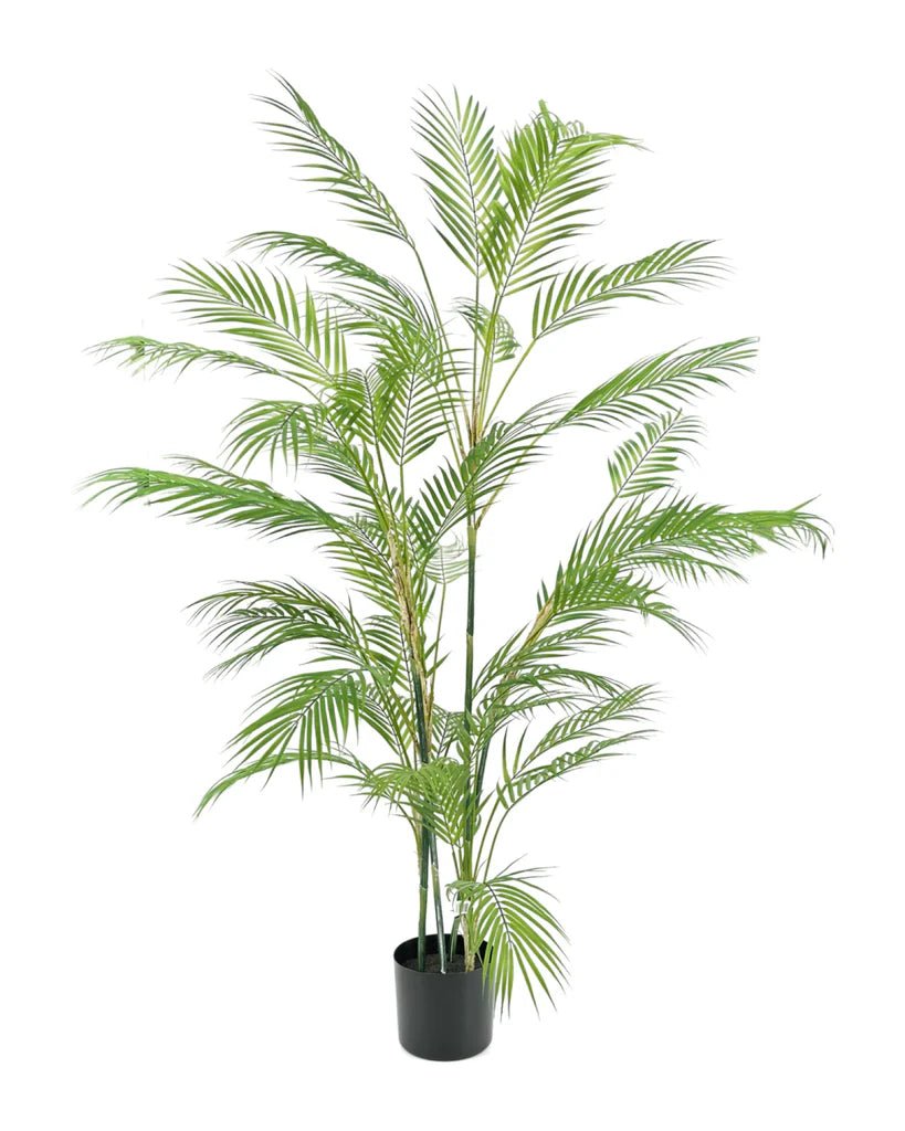 Date Palm in Growers Pot 5'H - LDF Silk