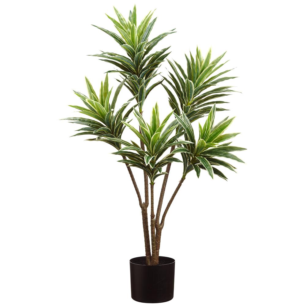 Dracaena Plant in Grow Pot 34"H - LDF Silk