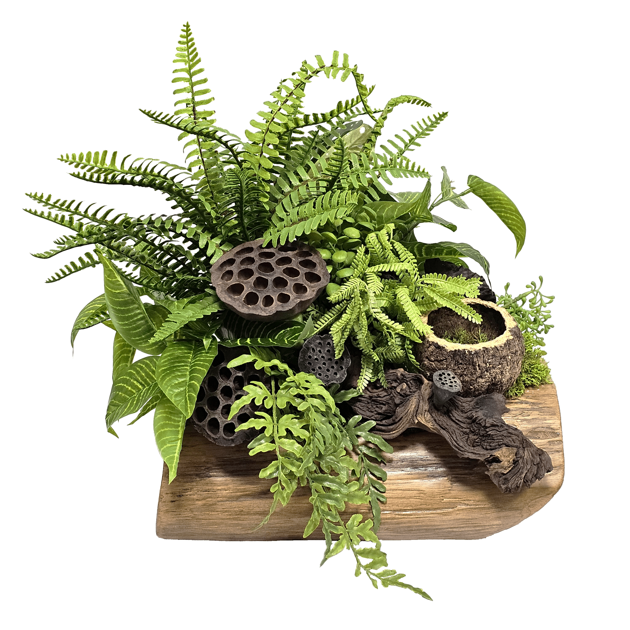 plant with hanging pods Ferns with Dried Lotus Pods and Wood Fragment in Wood Container 16"H – LDF Silk