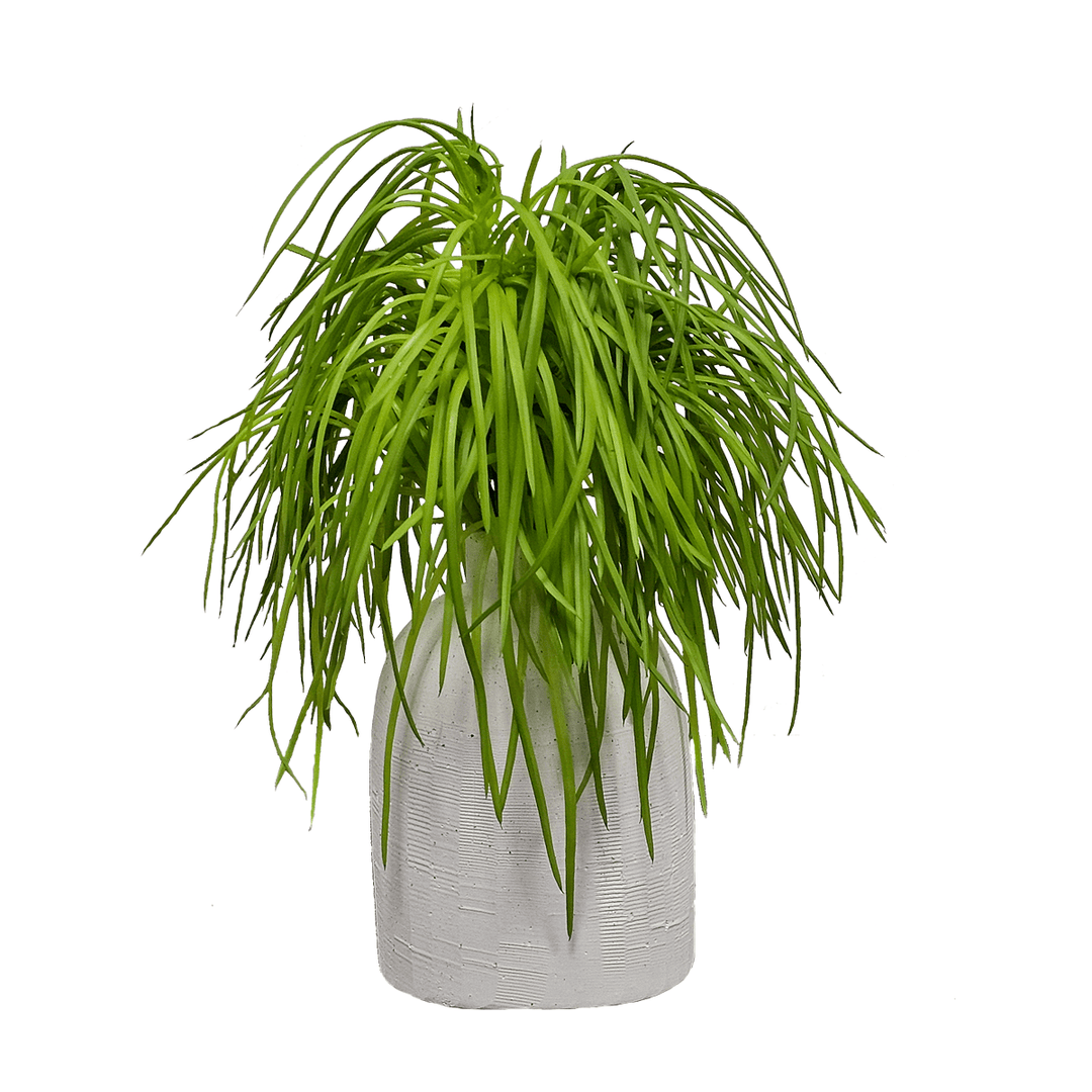 Grass in Ceramic Vase. FH:10" - LDF Silk