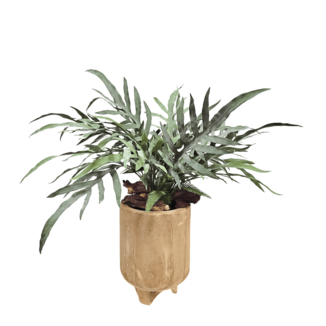 Java Fern in Wood Container 26"H - LDF Silk
