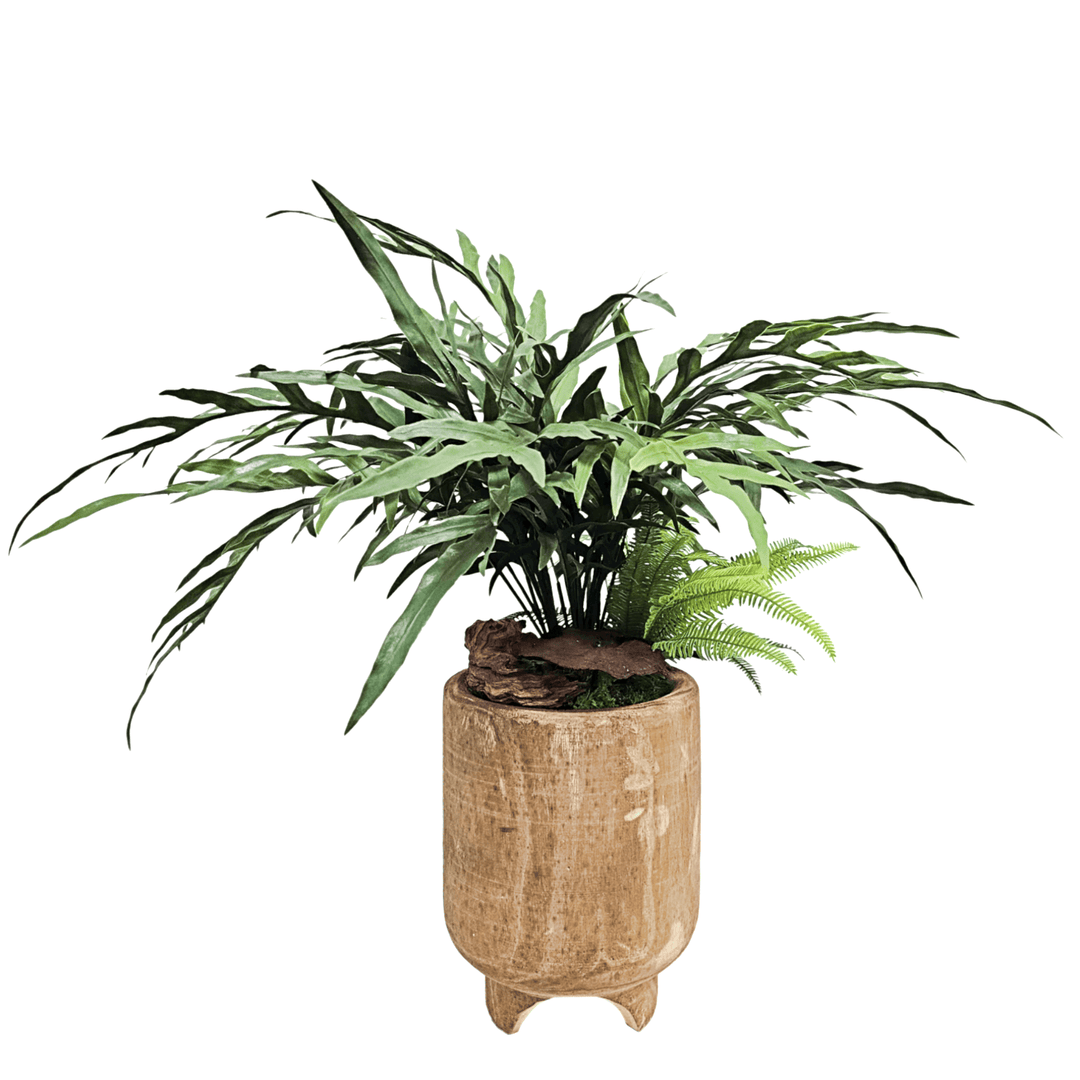 Java Fern in Wood Container 32"H - LDF Silk