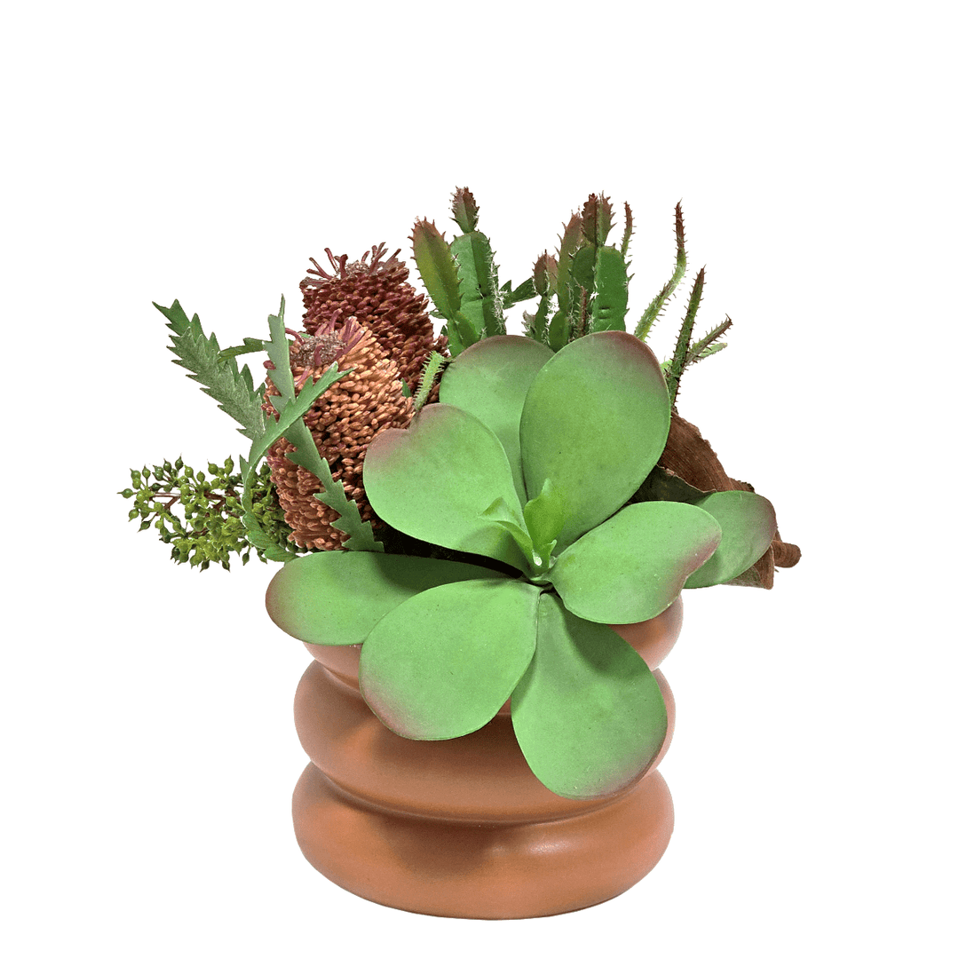 Kalanchoe with Banksia and Cactus in Ceramic. FH: 10"H - LDF Silk