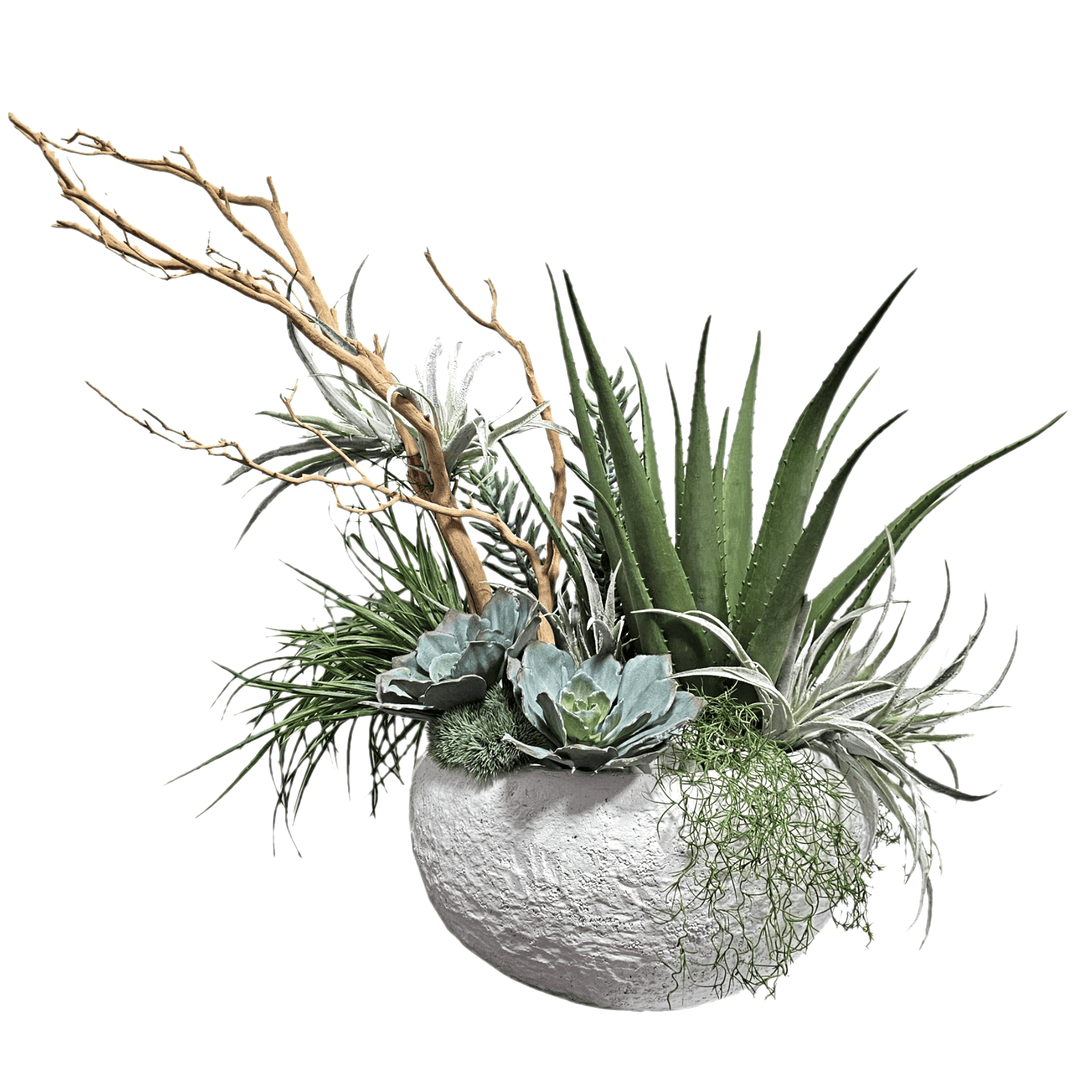 Large Aloe, Mixed Succulents, Manzanita Branch and White Rocks in Textured Container. FH: 33" - LDF SilkArtificial Flora