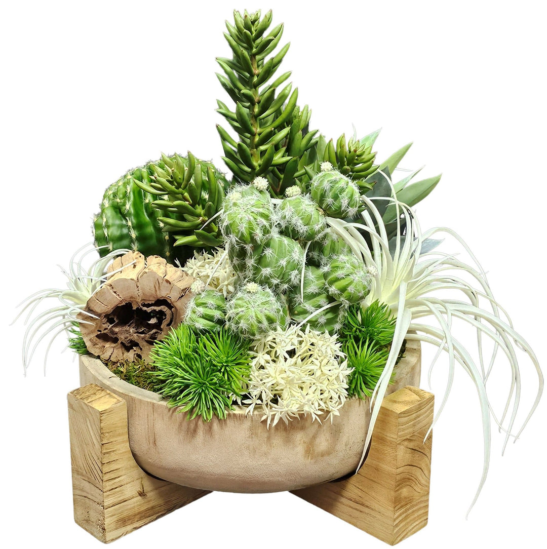 Mixed Cactus and Succulents with Tillandsia in Wood Bowl on Stand. 17"H - LDF SilkArtificial Flora