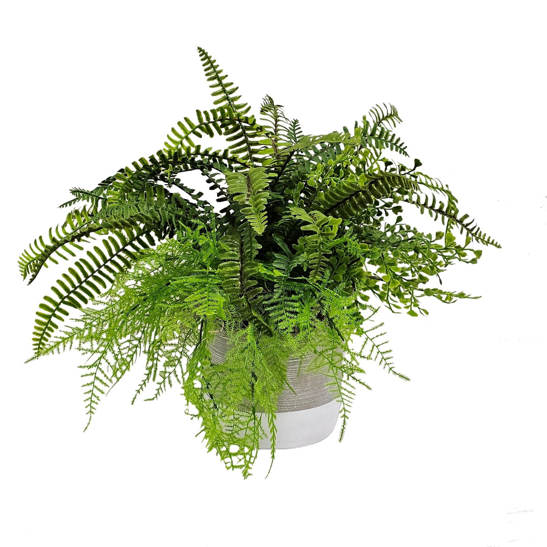 Mixed Ferns in Concrete Container 15"H - LDF Silk