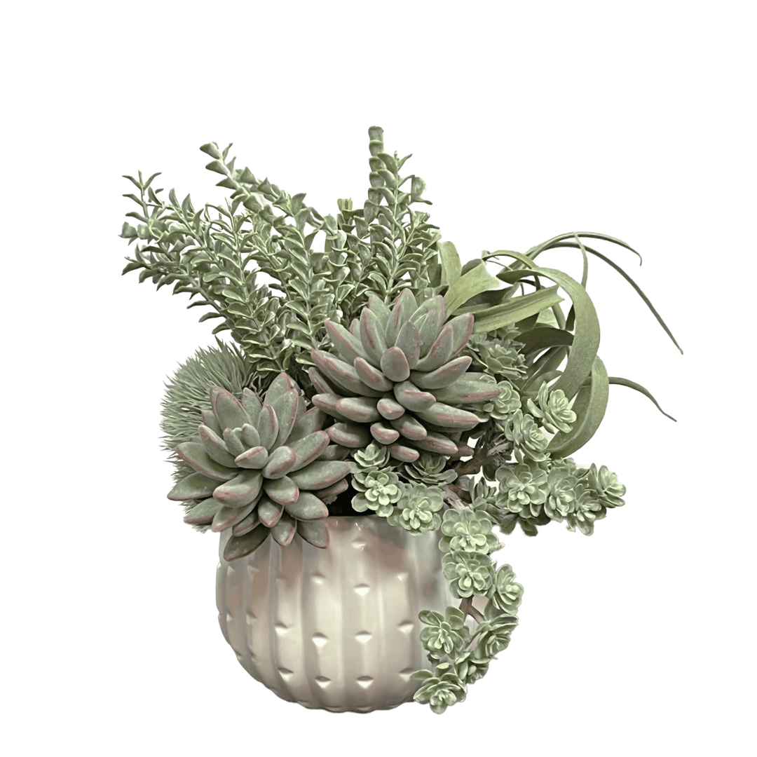 Mixed Succulents in Textured Ceramic 9.5"H - LDF Silk