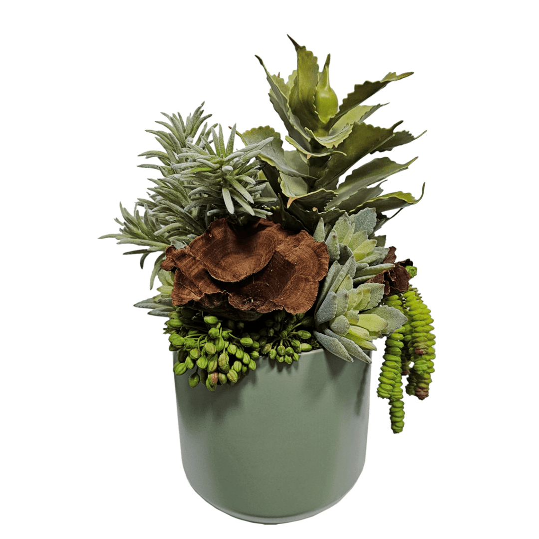 Mixed Succulents with Calice in Sage Round Ceramic. FH: 15" - LDF Silk