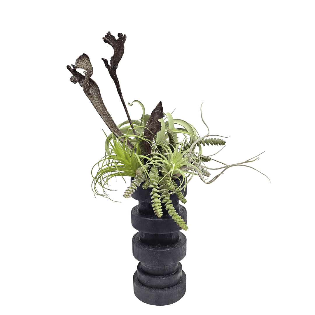 Mixed Succulents with Dried Staghorn Fern in Wood Vase 26"H - LDF Silk