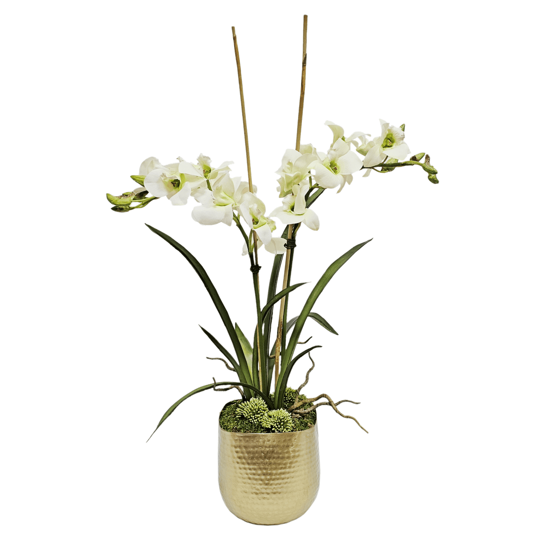 Orchids with Leaves in Container FH: 26" - LDF Silk