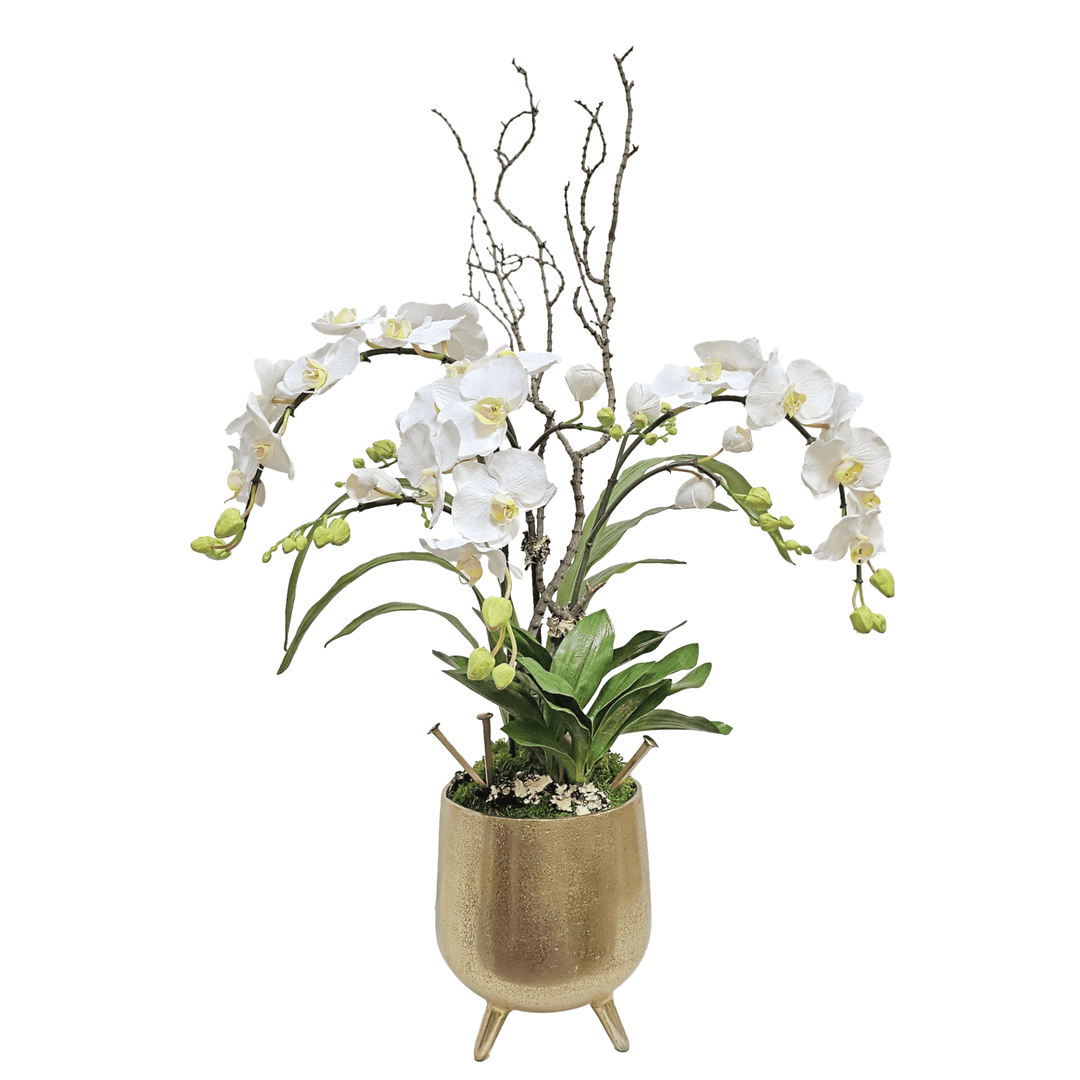 Orchids with Tiger Wood and Gold Nails in Metal Container 38"H - LDF Silk