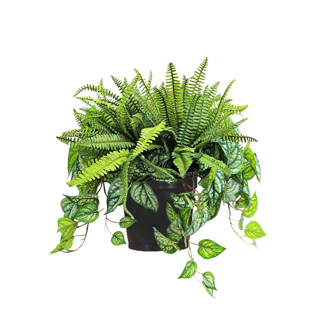 Outdoor Boston Fern and Pepperomia Mix in Grow Pot 22"H - LDF Silk