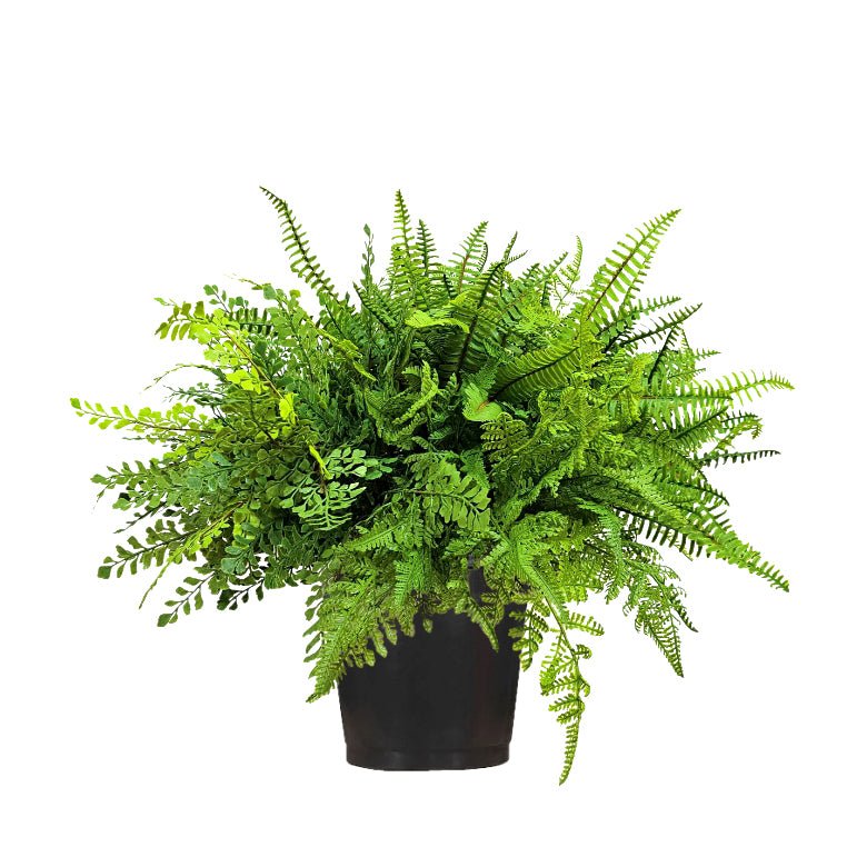 Outdoor Mixed Ferns in Grow Pot 22"H - LDF Silk