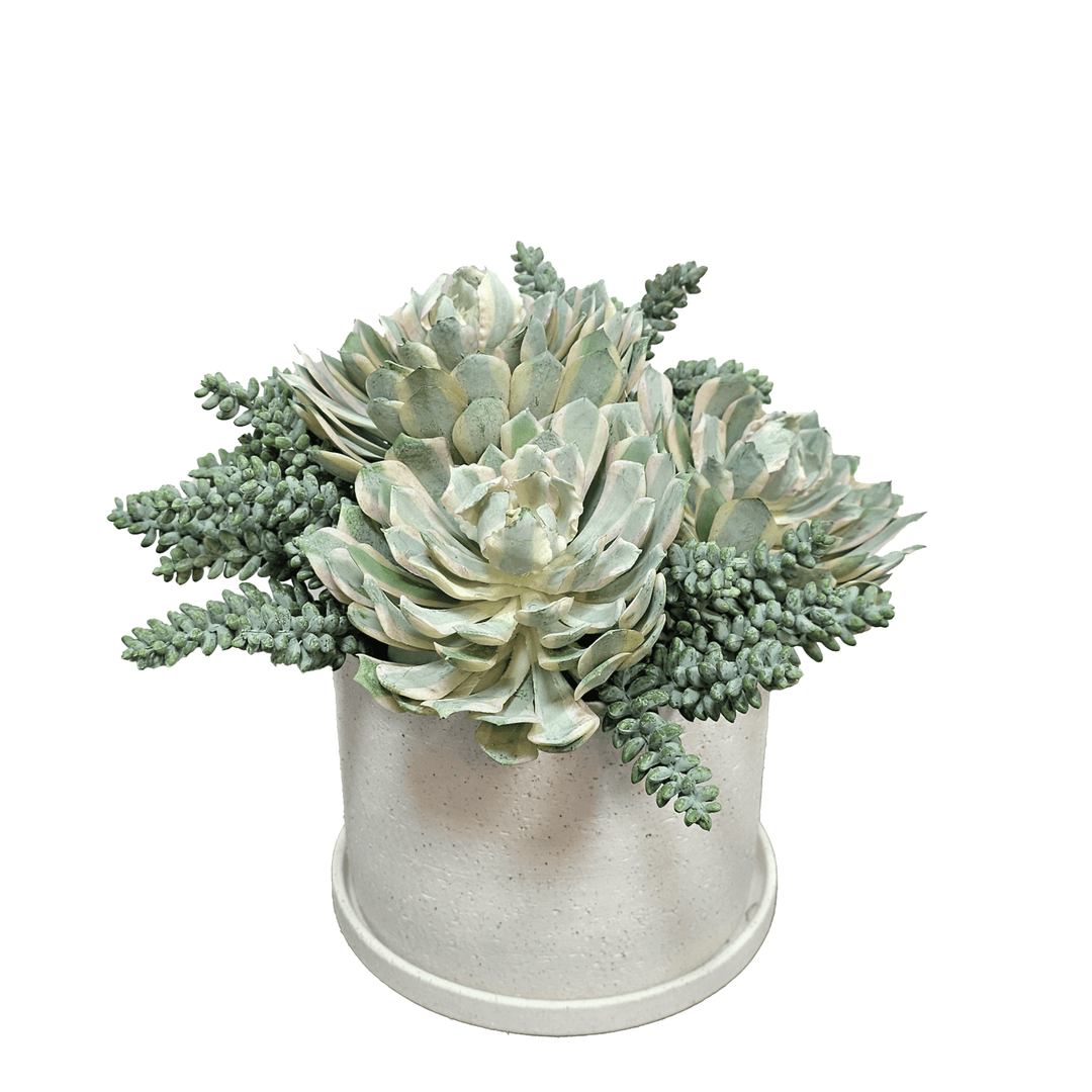 Outdoor Succulents in Ceramic 10"H - LDF Silk
