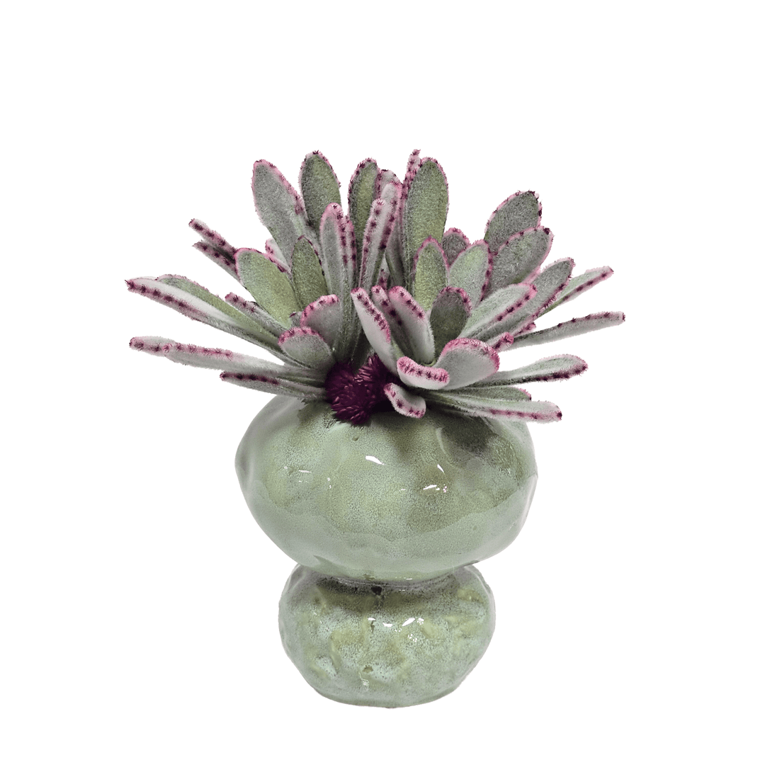 Panda Succulents in Ceramic Vase 12"H - LDF Silk