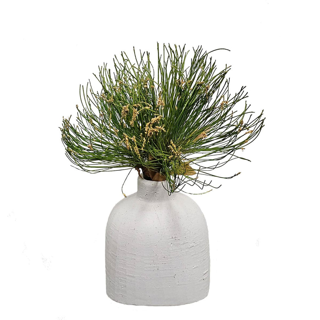 Papyrus Grass in Ceramic Vase. FH: 8" - LDF Silk