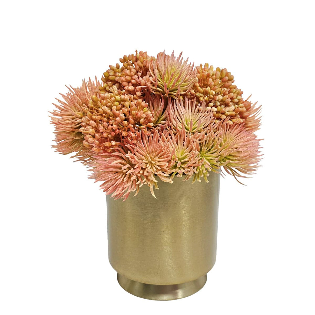 Peach Succulents and Sedum in Brushed Gold Metal Container. FH: 10" - LDF SilkArtificial Flora
