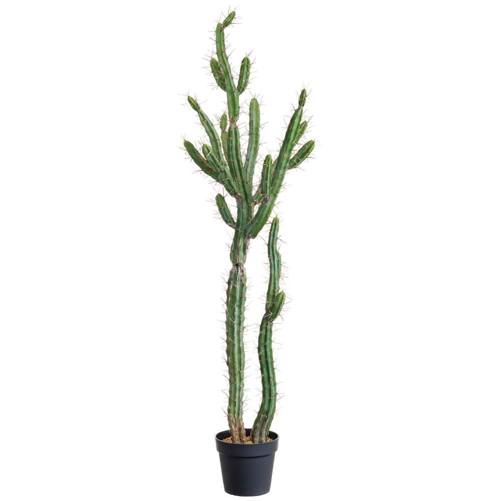 Peruvian Cactus in Grow Pot 57.5"H - LDF Silk
