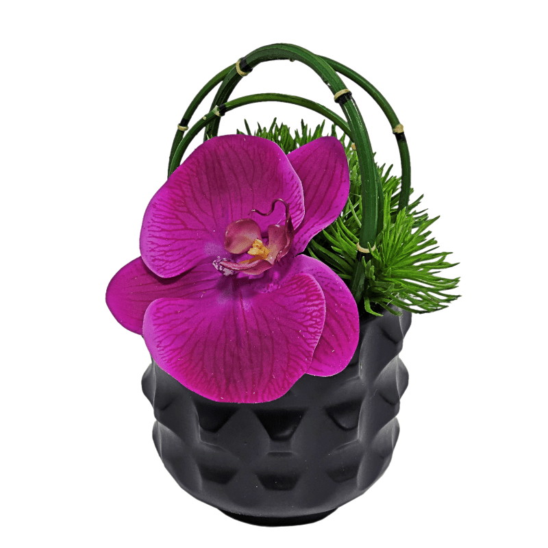 Phalaenopsis Orchid with Looped Horse Tail Reeds in Ceramic Container. FH: 9" - LDF Silk
