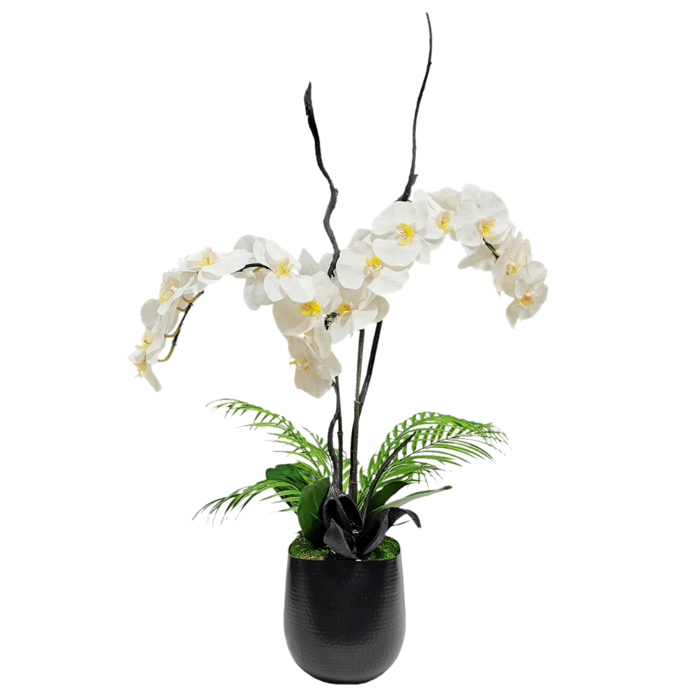 Phalaenopsis Orchids, Palm Leaves with Sora Pod and Dried Vine in Container FH: 41"H - LDF Silk