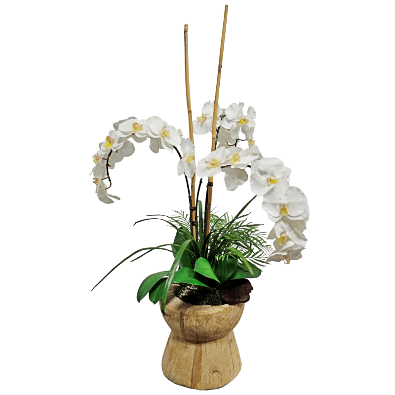 Phalaenopsis Orchids with Bamboo and Palm Leaves in Rustic Wood Vase. FH: 44" - LDF Silk