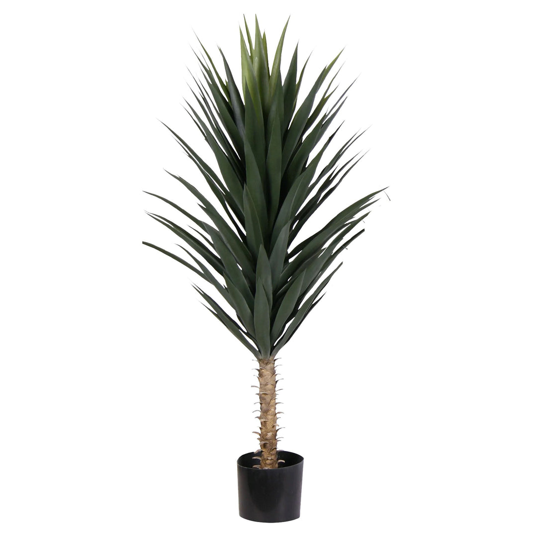 Premade Agave in Growers Pot FH: 48" - LDF Silk