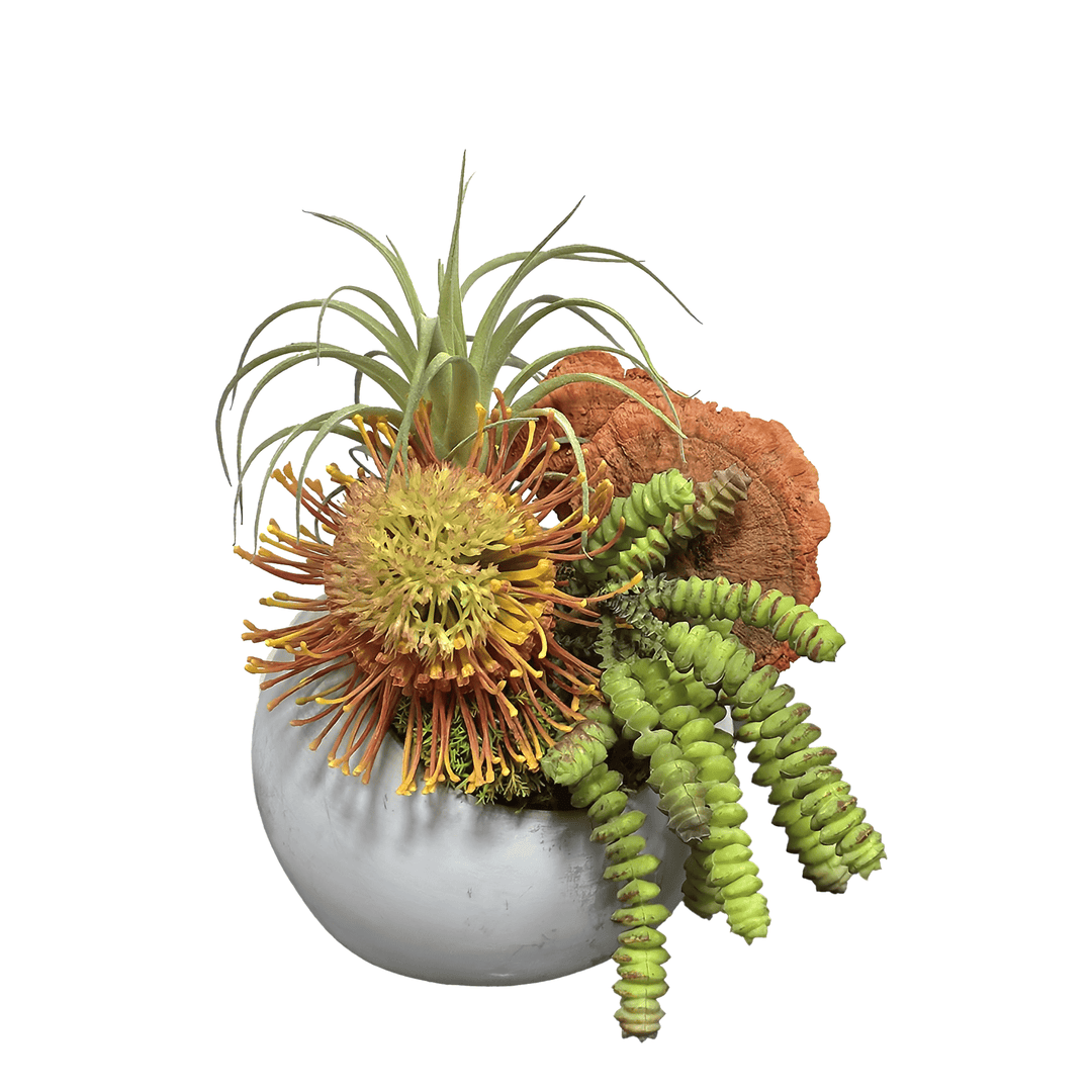 Protea, Tillandsia, Succulents and Mushrooms in Orb 8"H - LDF Silk