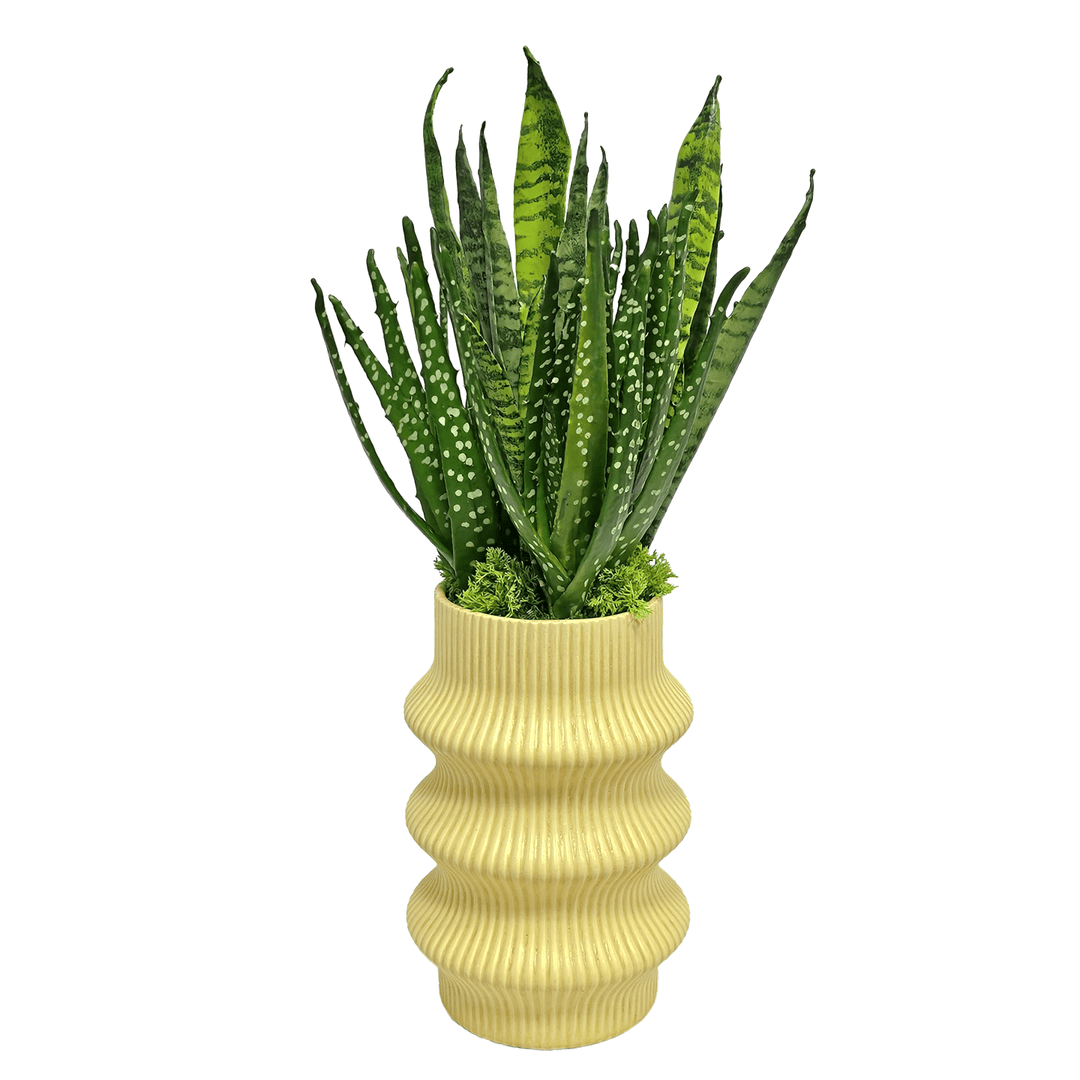 Sansevieria and Aloe in Vase 22"H - LDF Silk