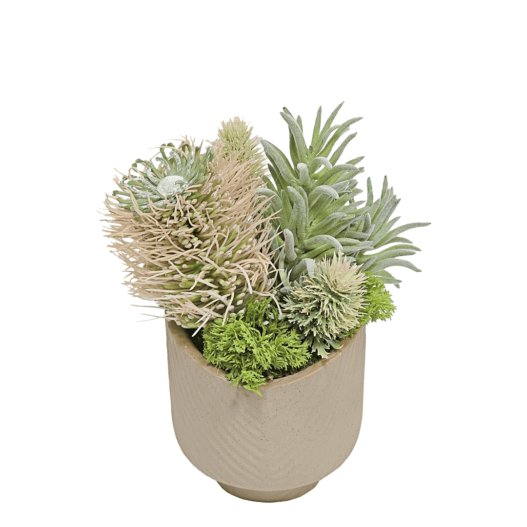 Senecio, Protea, and Thistle in Terra Cotta 8"H - LDF Silk